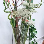 L'angolo Di Rosa
