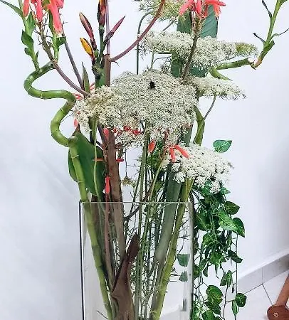 L'angolo Di Rosa